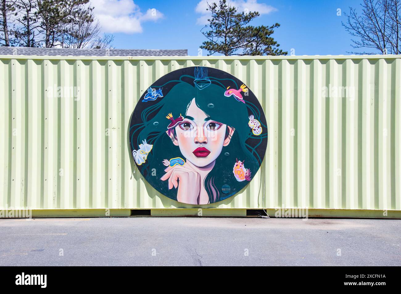 Ritratto murale Sea Troll di una giovane donna su un container di spedizione sul lungomare di Halifax, nuova Scozia, Canada Foto Stock