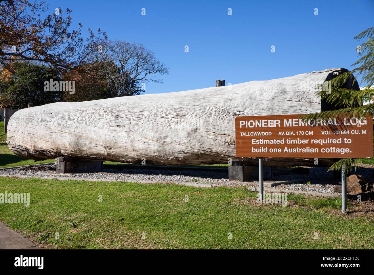 Il tronco Pioneer Memorial nel centro di Dorrigo celebra le pionieristiche troncatrici di legname della regione, New South Wales, Australia Foto Stock