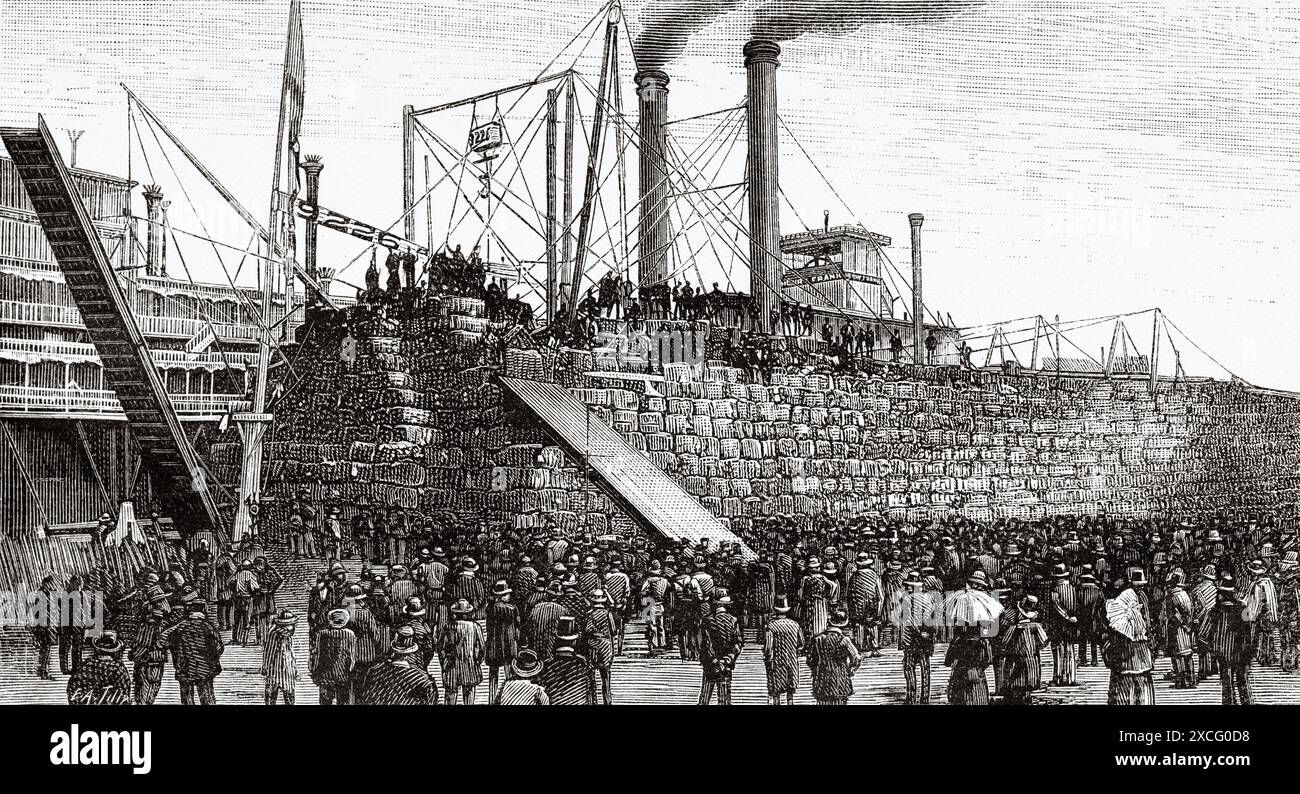 Battello a vapore nel porto di New Orleans, carico di balle di cotone. STATI UNITI. Vecchia illustrazione incisa del XIX secolo da la Nature 1886 Foto Stock
