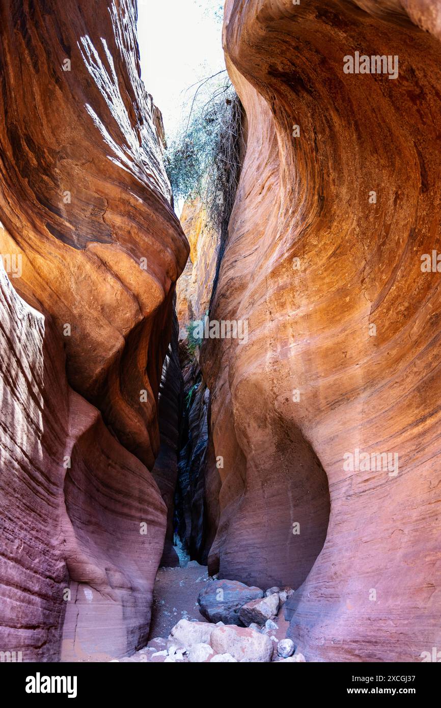 All'interno dello slot Canyon di Wire Pass, monumento nazionale di Vermilion Cliffs, Utah, Stati Uniti Foto Stock