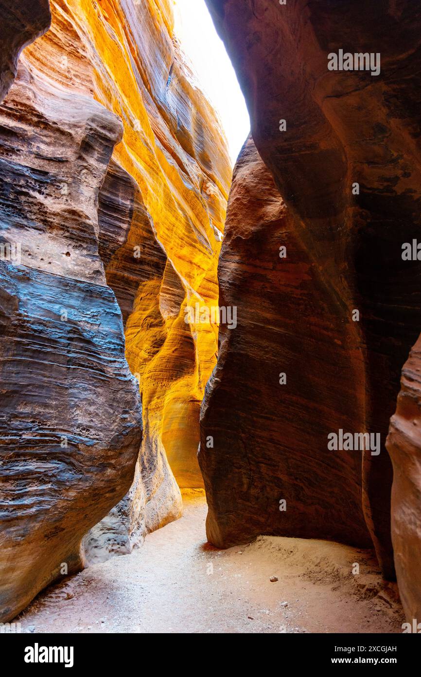 All'interno dello slot Canyon di Wire Pass, monumento nazionale di Vermilion Cliffs, Utah, Stati Uniti Foto Stock