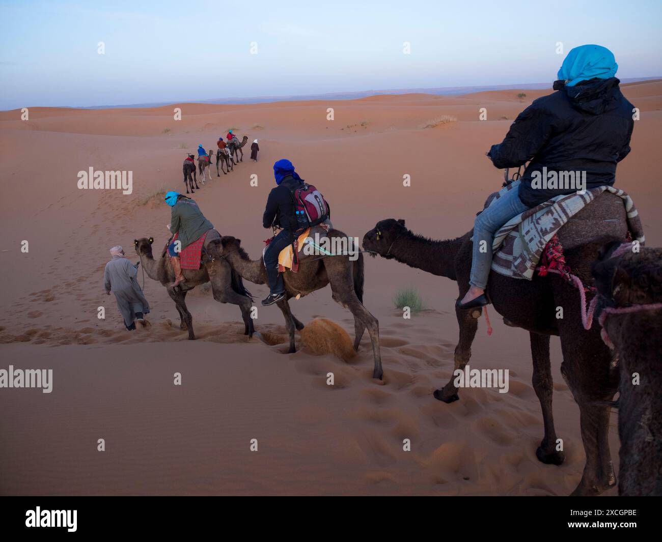 Turisti in cammello nel deserto di Erg Chebbi, Marocco Foto Stock