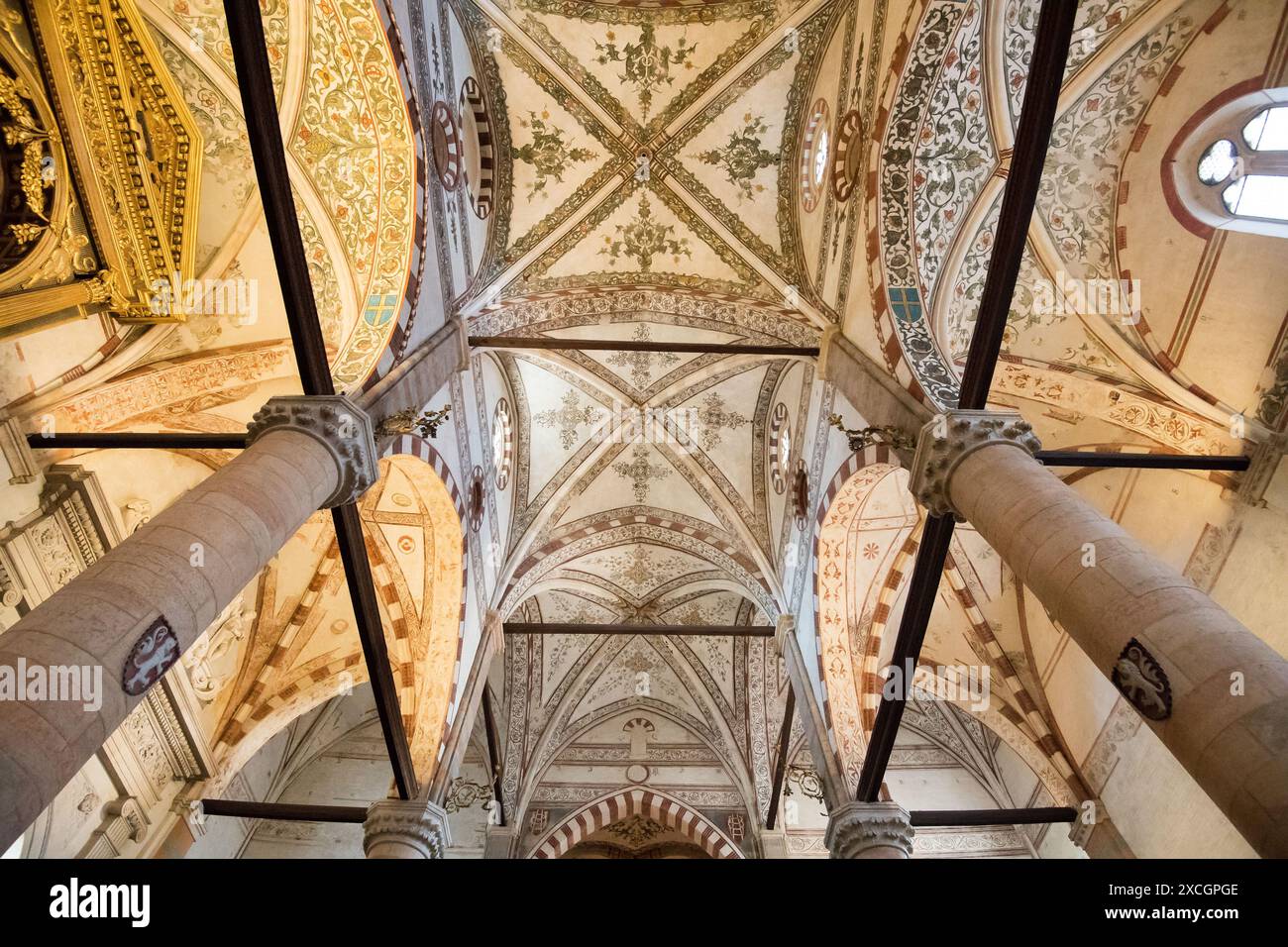 Basilica gotica di Santa Anastasia (Basilica di Santa Anastasia) bulit XIII-XV secolo nel centro storico di Verona, provincia di Verona, Veneto, IT Foto Stock