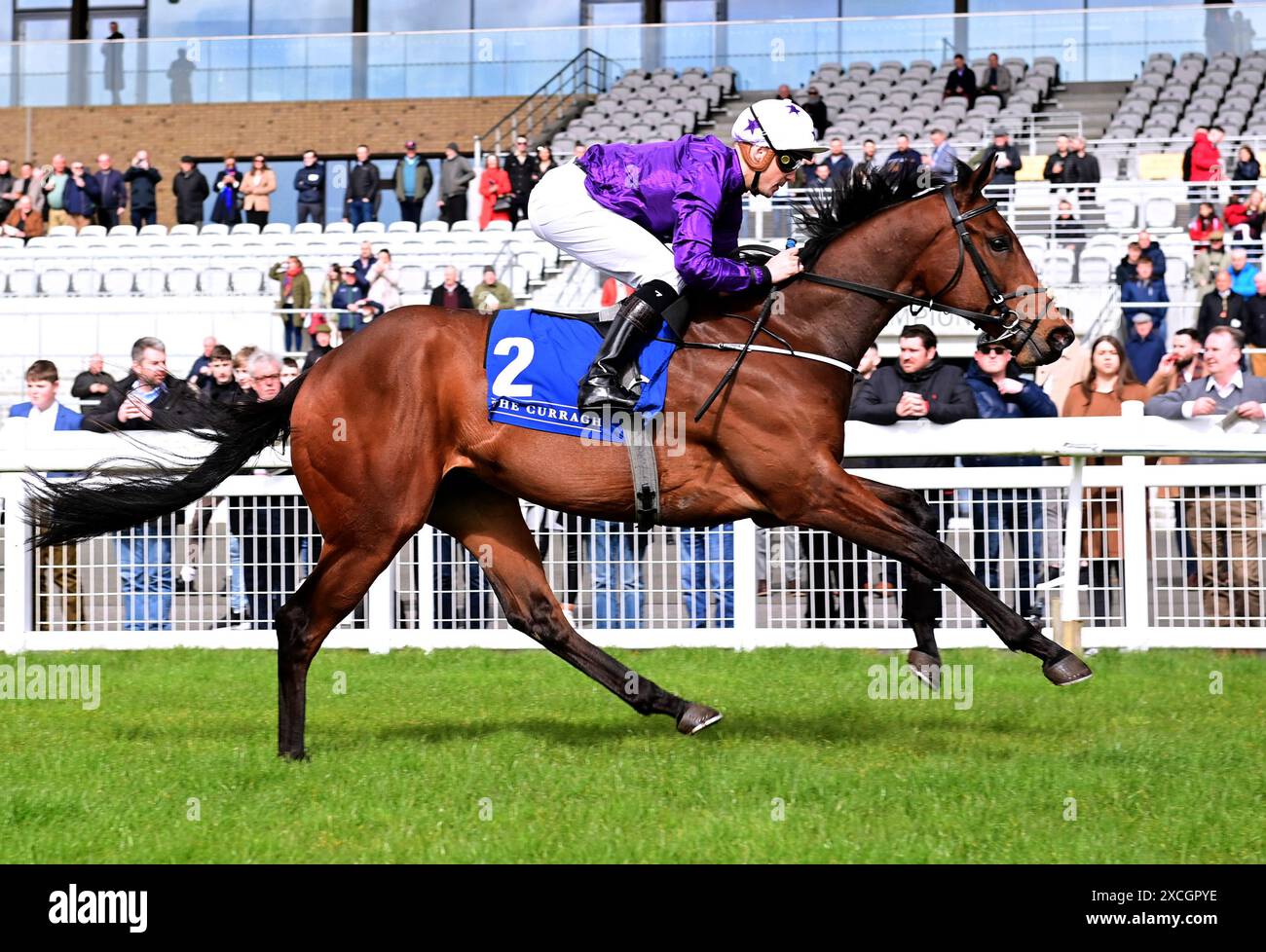 Foto del file datata 25-03-2023 di Bucanero Fuerte guidata dal fantino Kevin Stott. Bucanero Fuerte è stato escluso dalla Coppa del Commonwealth di venerdì a Royal Ascot a causa di malattia da viaggio. Data di pubblicazione: Lunedì 17 giugno 2024. Foto Stock