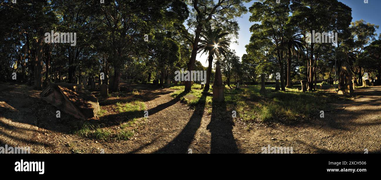 A Newtown, palme e eucalipti nativi di Sydney, vecchie tombe vittoriane nei terreni della chiesa anglicana di Santo Stefano, il Camperdown Cemetery. Foto Stock