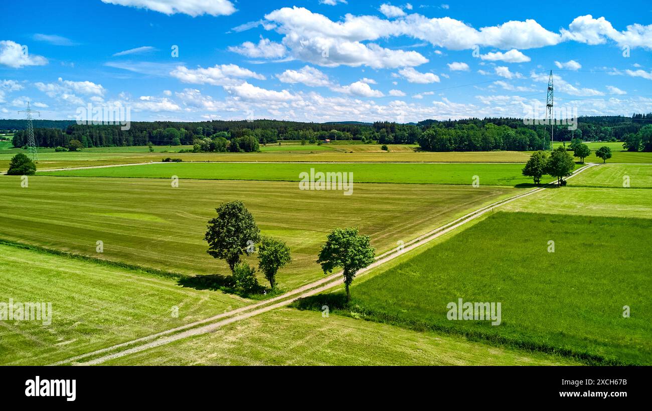 Kammlach, Baviera, Germania - 16 giugno 2024: Veduta aerea dei campi verdi e delle zone rurali coltivate in Baviera, Germania *** Luftaufnahme von Grünen Feldern und ländlichen Anbauflächen a Bayern, Germania Foto Stock