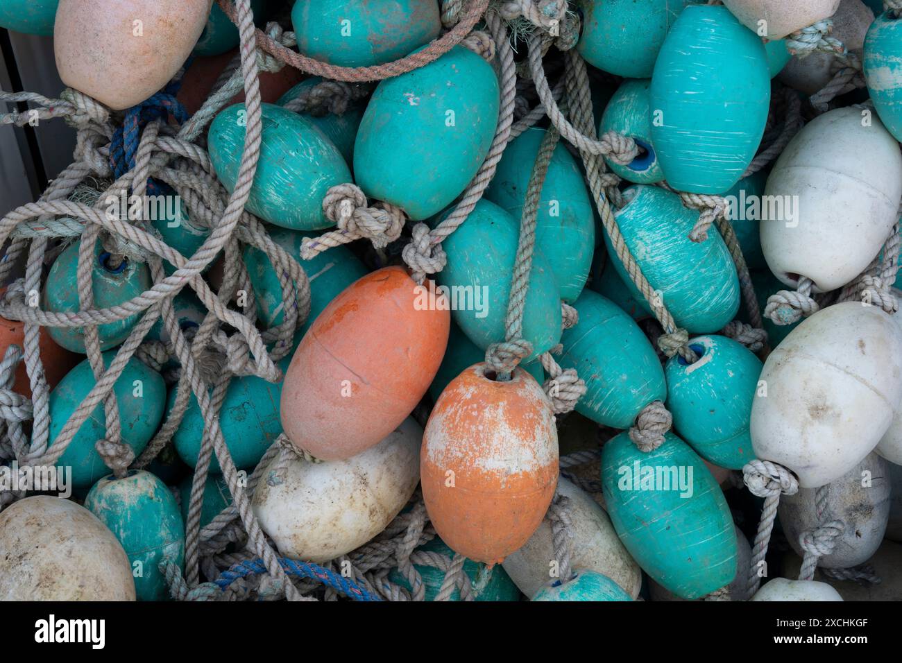 Galleggianti da pesca. Bar Harbor, Maine Foto Stock
