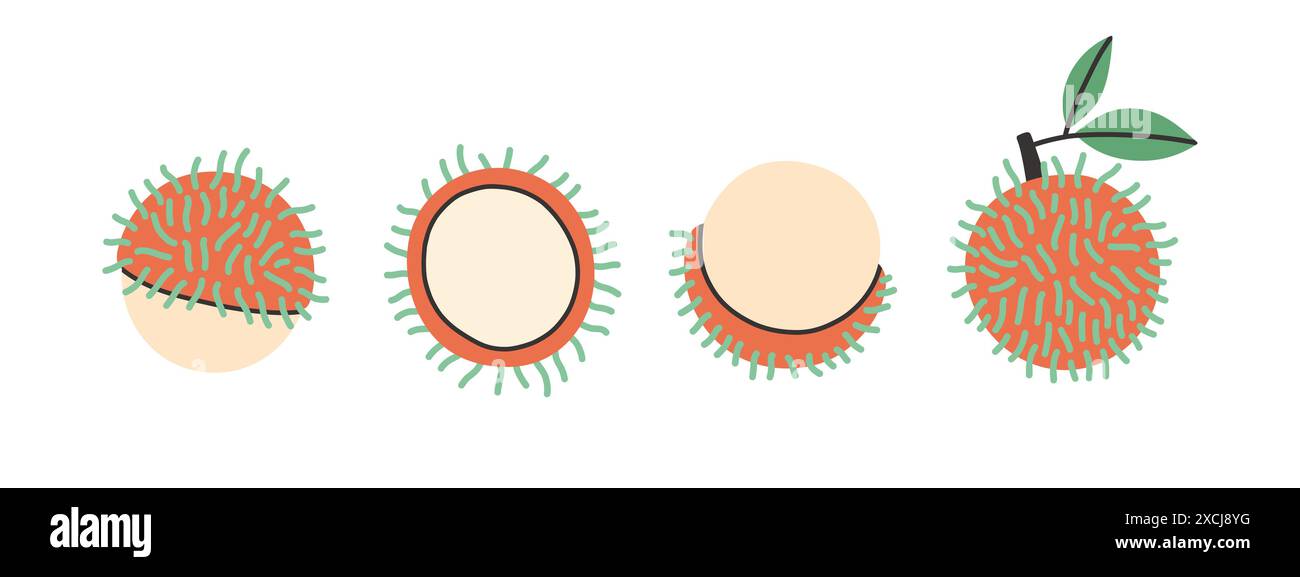 Insieme di rambutan vettoriale astratto. Semplice rambutan. Design della collezione di frutta tropicale per interni, poster e striscioni. Illustrazione Vettoriale