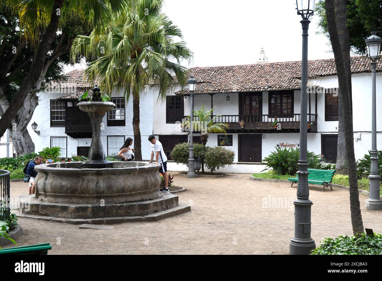 Icod de los Vinos. Tenerife, provincia di Santa Cruz de Tenerife, Isole Canarie, Spagna. Foto Stock