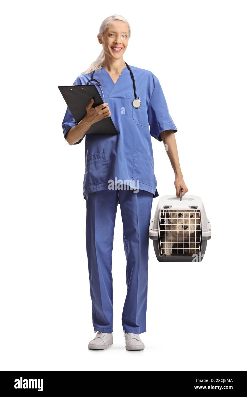 Veterinario donna in uniforme blu che tiene in mano un portabagagli con un cane e un portadocumenti isolato su sfondo bianco Foto Stock