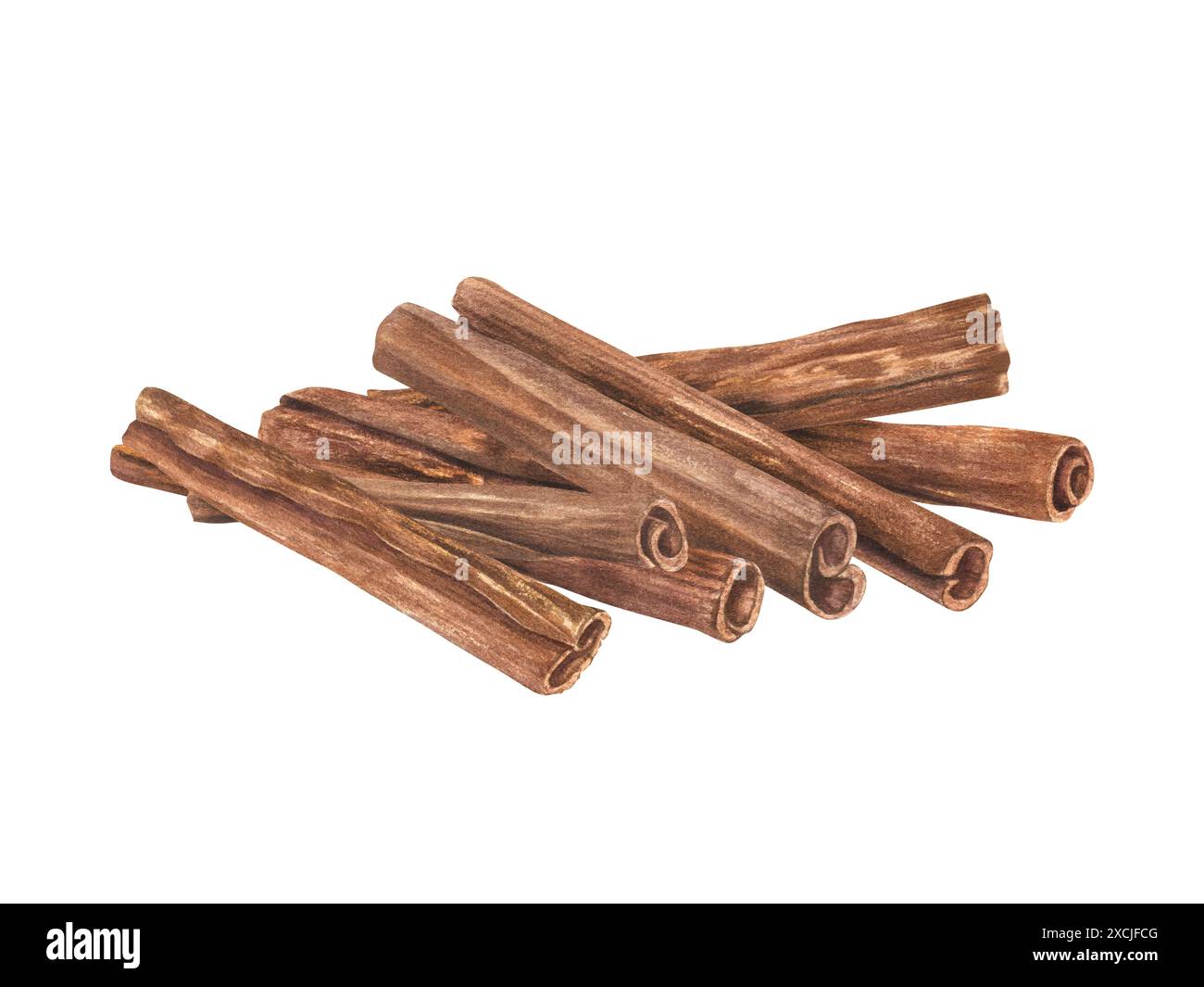 Bastoncini alla cannella. Cumulo di spezie. Ingrediente culinario versatile con la loro essenza aromatica. Per ricette dolci e salate Foto Stock