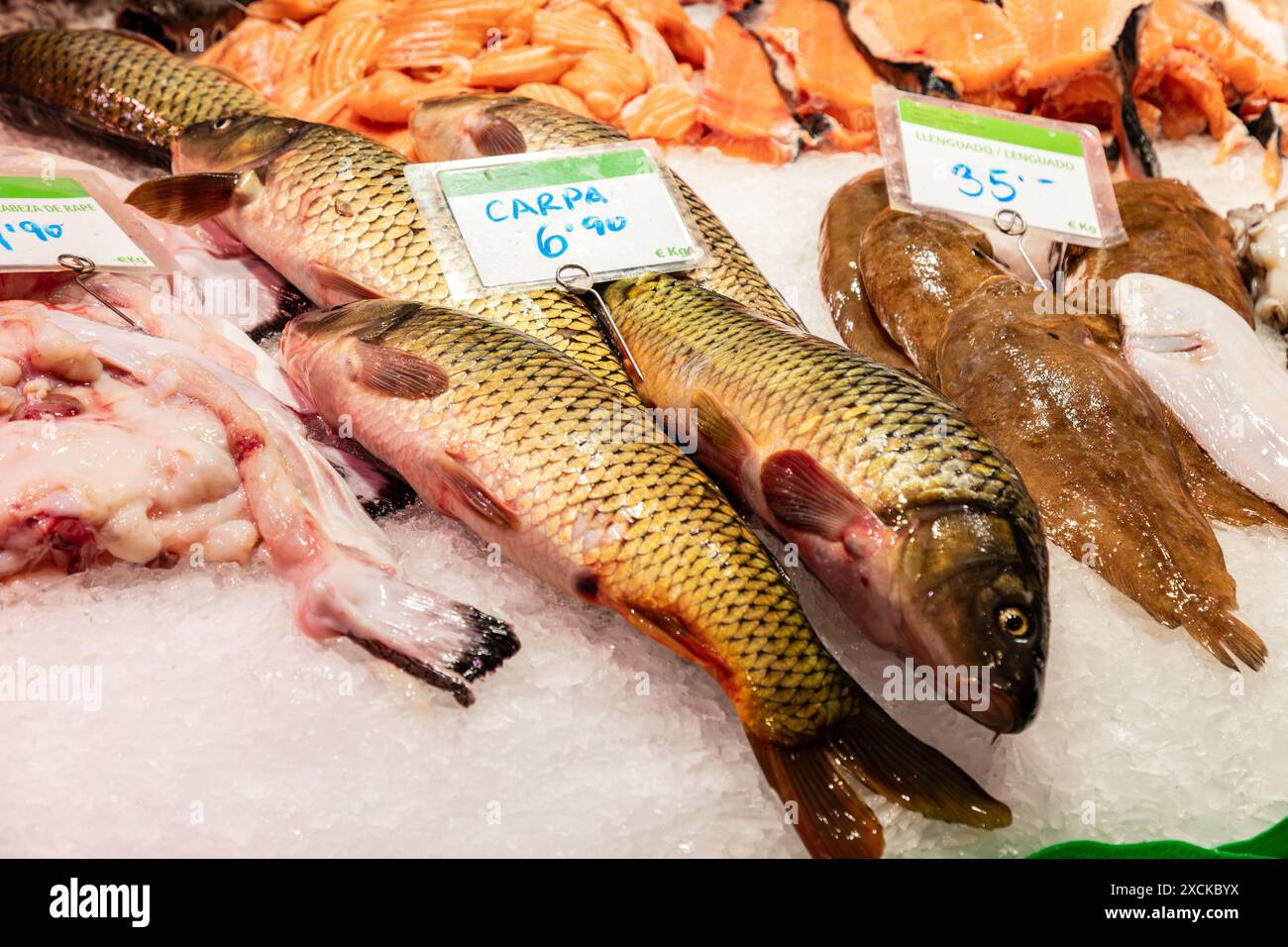 Carpa comune in vendita al mercato la Boqueria - Mercat Boqueria Barcelona, Catalogna, Spagna. Foto Stock