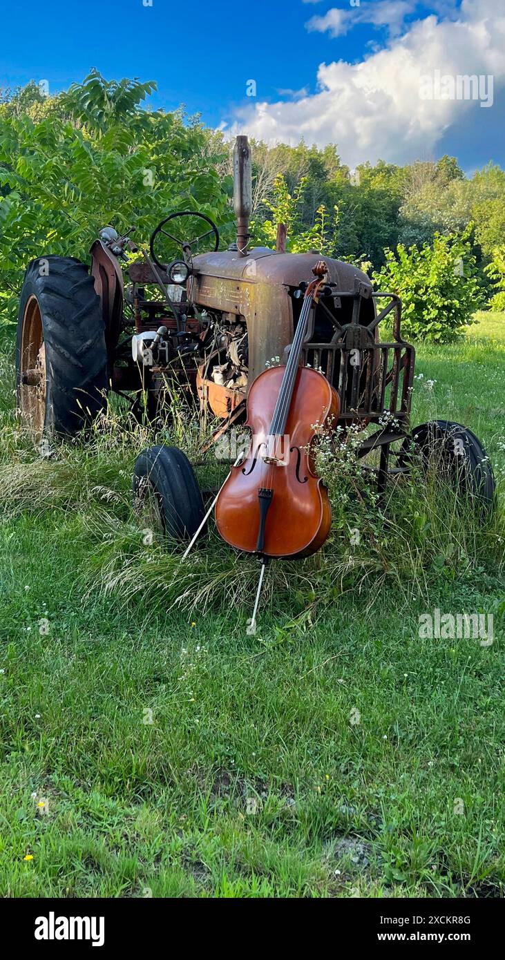 Violoncello davanti a un trattore arrugginito e deteriorato Foto Stock