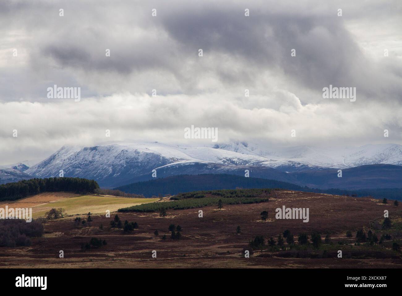 Viste rurali del Parco Nazionale di Cairngorms; Aviemore; Scozia; Regno Unito Foto Stock