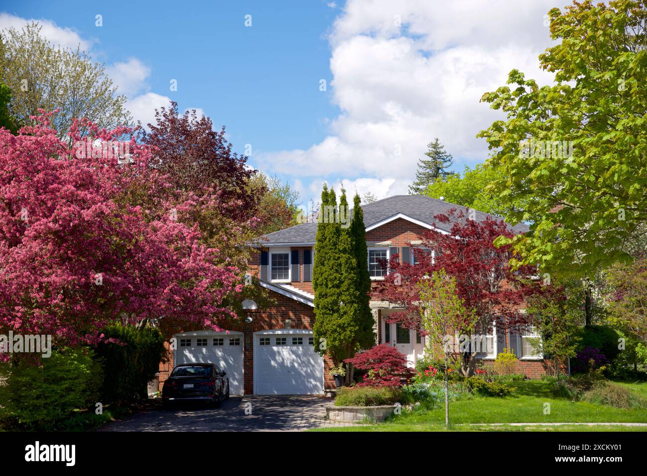 Esterno di una casa canadese con fiori di primavera di colore rosa Foto Stock