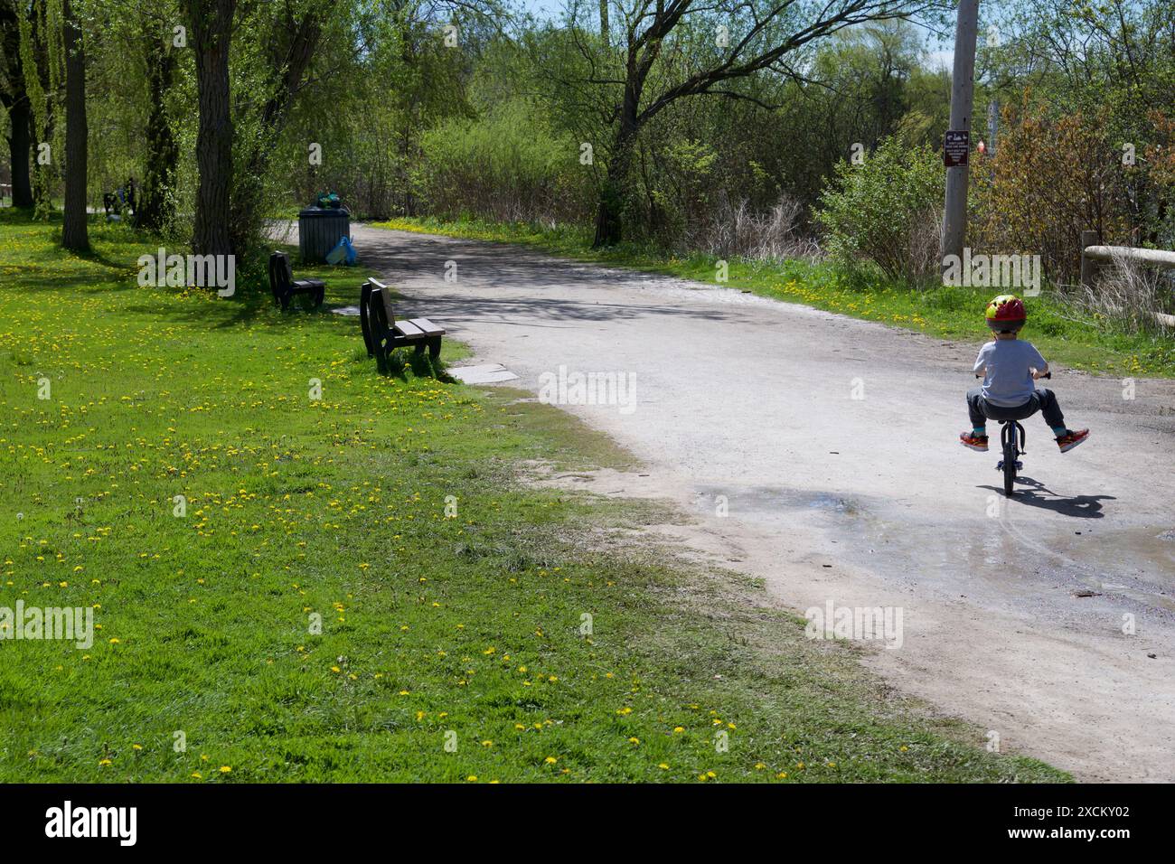 I ragazzi imparano a guidare una bicicletta nel parco Foto Stock