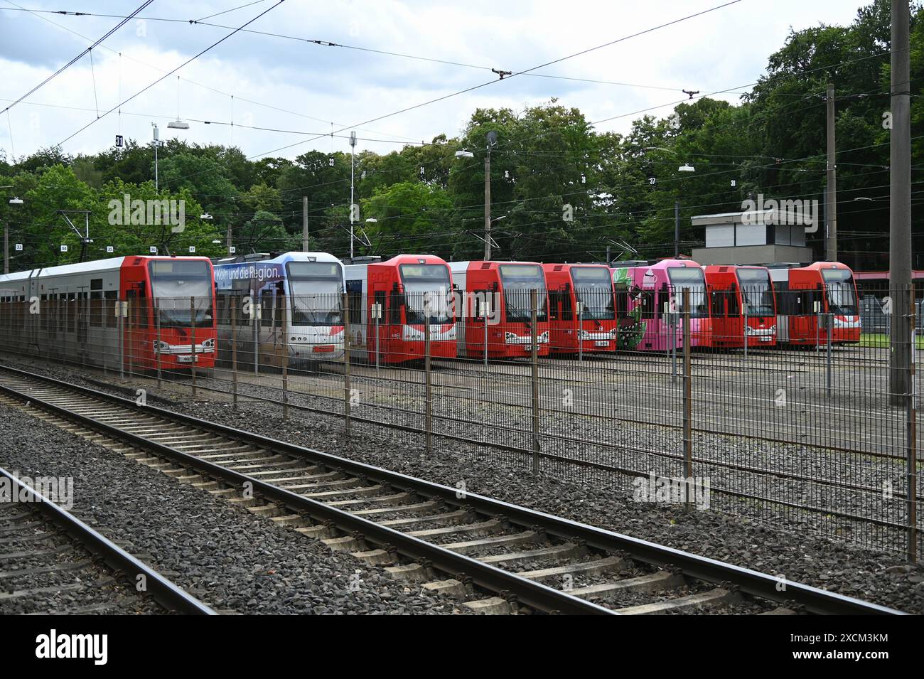 Strassenbahnen des öffentlichen Nahverkehr stehen nebeneinander *** i tram dei mezzi pubblici locali sono affiancati Foto Stock