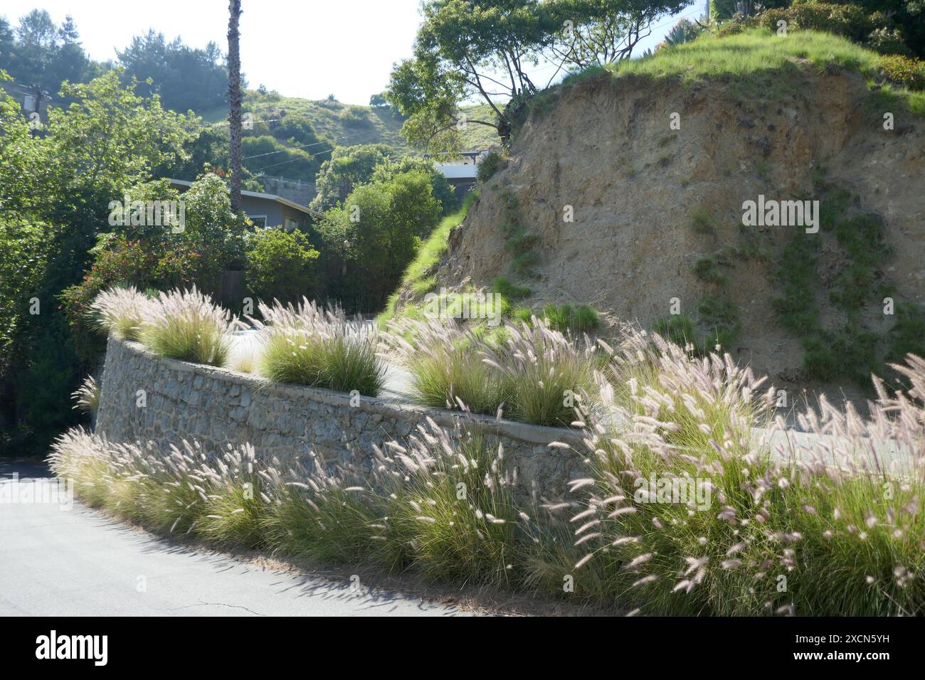 Los Angeles, California, USA 14 giugno 2024 attore Tom Tyler ex Honme al 2746 Belden Drive a Hollywood Hills il 14 giugno 2024 a Los Angeles, California, USA. Foto di Barry King/Alamy Stock Photo Foto Stock