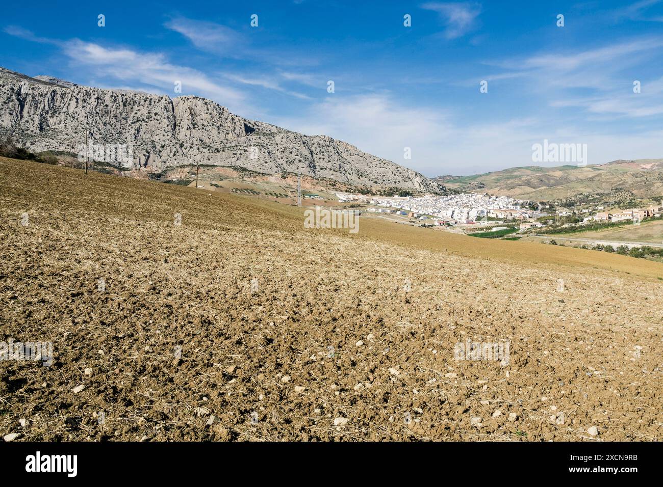 Campo vicino ad Antequera, Andalusia, Spagna Foto Stock