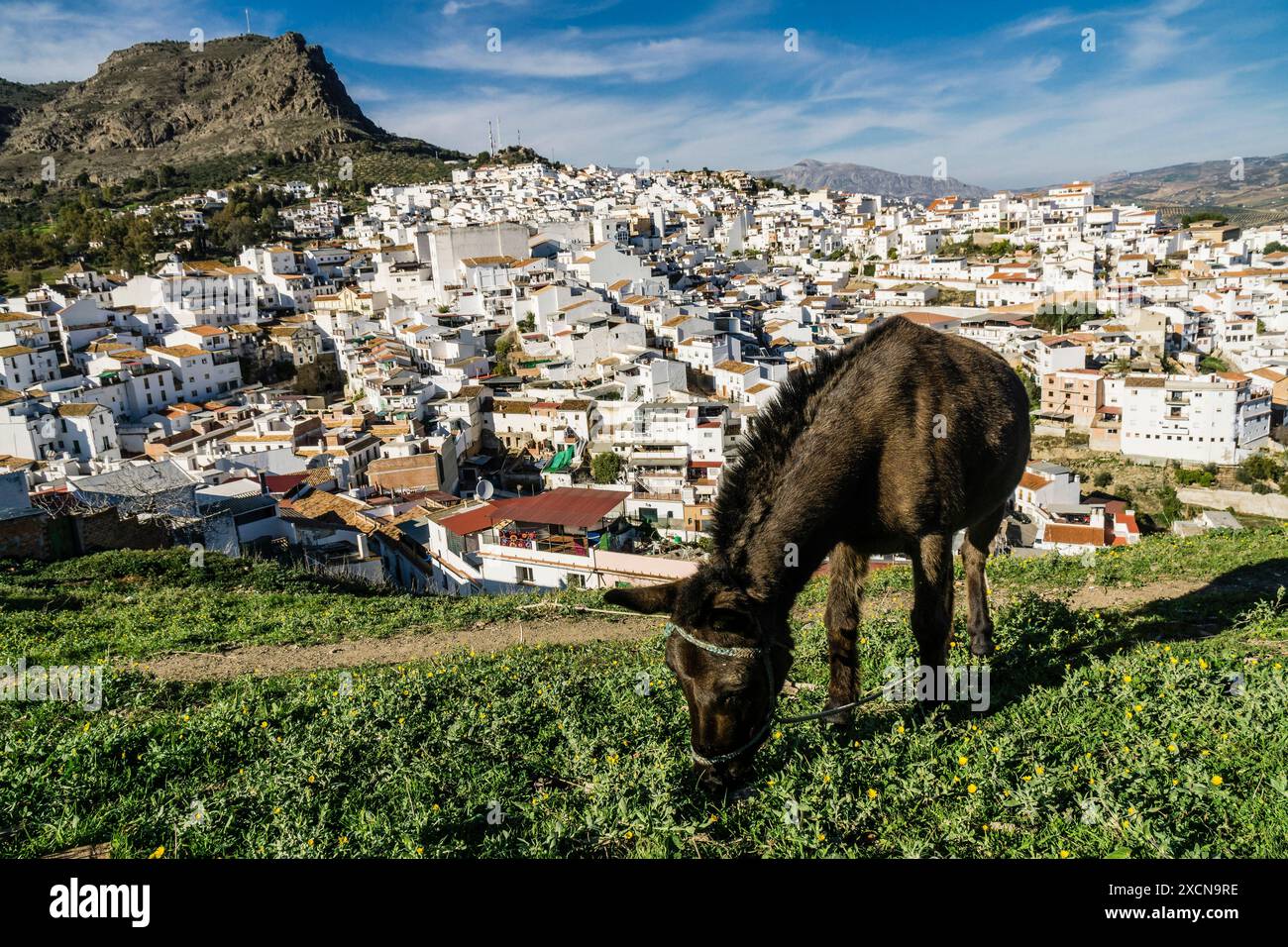 Vista del villaggio di Alora , Malaga, Andalusia, Spagna Foto Stock