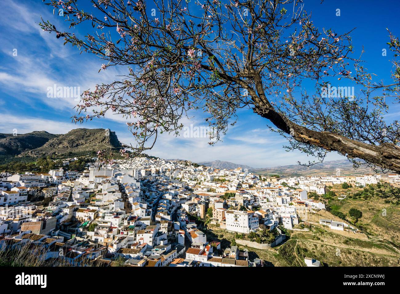 Vista del villaggio di Alora , Malaga, Andalusia, Spagna Foto Stock