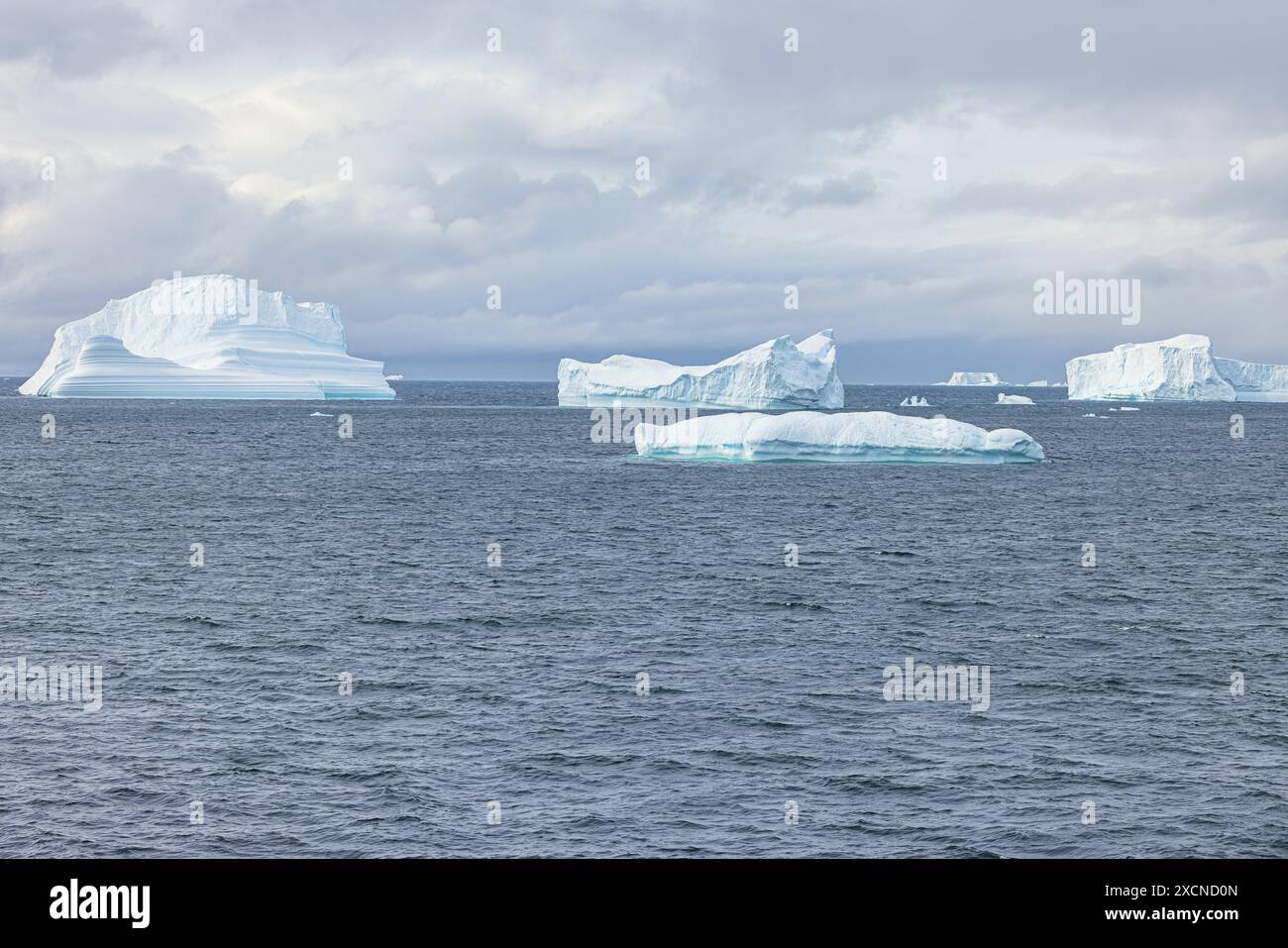 Iceberg nello stretto De Gerlache che separa la penisola antartica dall'arcipelago Palmer Foto Stock