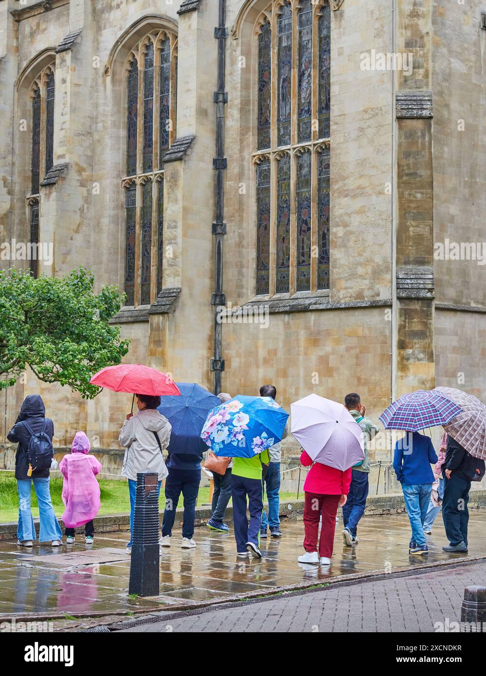 Turisti cinesi con ombrelloni fuori dalla cappella del Trinity College, Università di Cambridge, Inghilterra, in una giornata umida e piovosa. Foto Stock