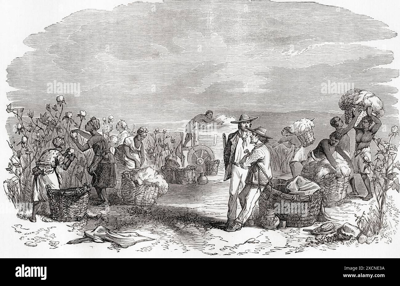Schiavi che raccolgono cotone su una piantagione nel XIX secolo, riempiendo cesti e portando carichi sulla testa mentre due uomini bianchi con cappelli a tesa larga parlano in primo piano. Incisione da Cassell's Illustrated History of England. Foto Stock