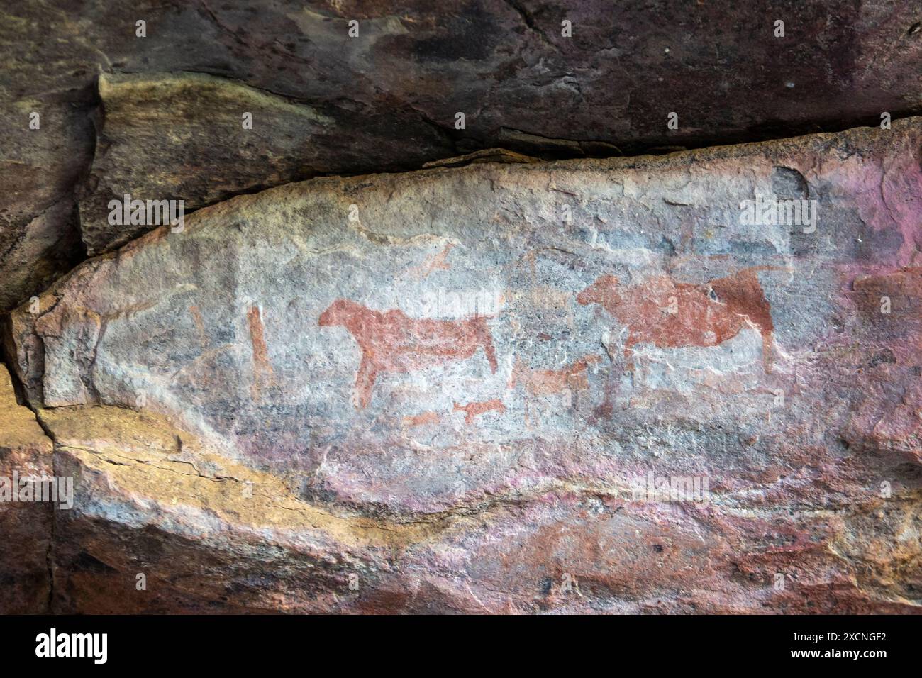 Dipinti di Bushman su una parete rocciosa nel Waterberg Foto Stock