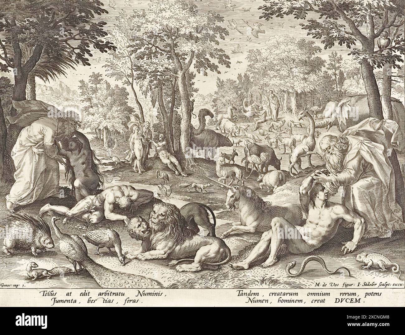 Erschaffung von Adam und Eva und der Tiere. Ursprung, Anversa. Datum, 1588 - 1600, Johann Sadeler, Historisch, digital restaurierte Reproduktion von Foto Stock