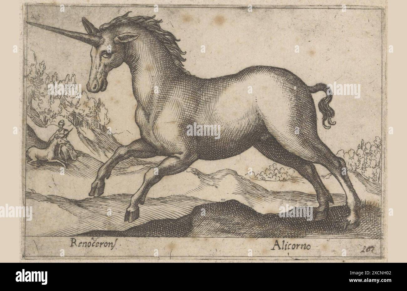 Fabeltier, Einhorn, Zeichnung von Antonio tempesta 1555 - 1630, Italien, Historisch, digital restaurierte Reproduktion von einer Vorlage aus dem 19. J Foto Stock