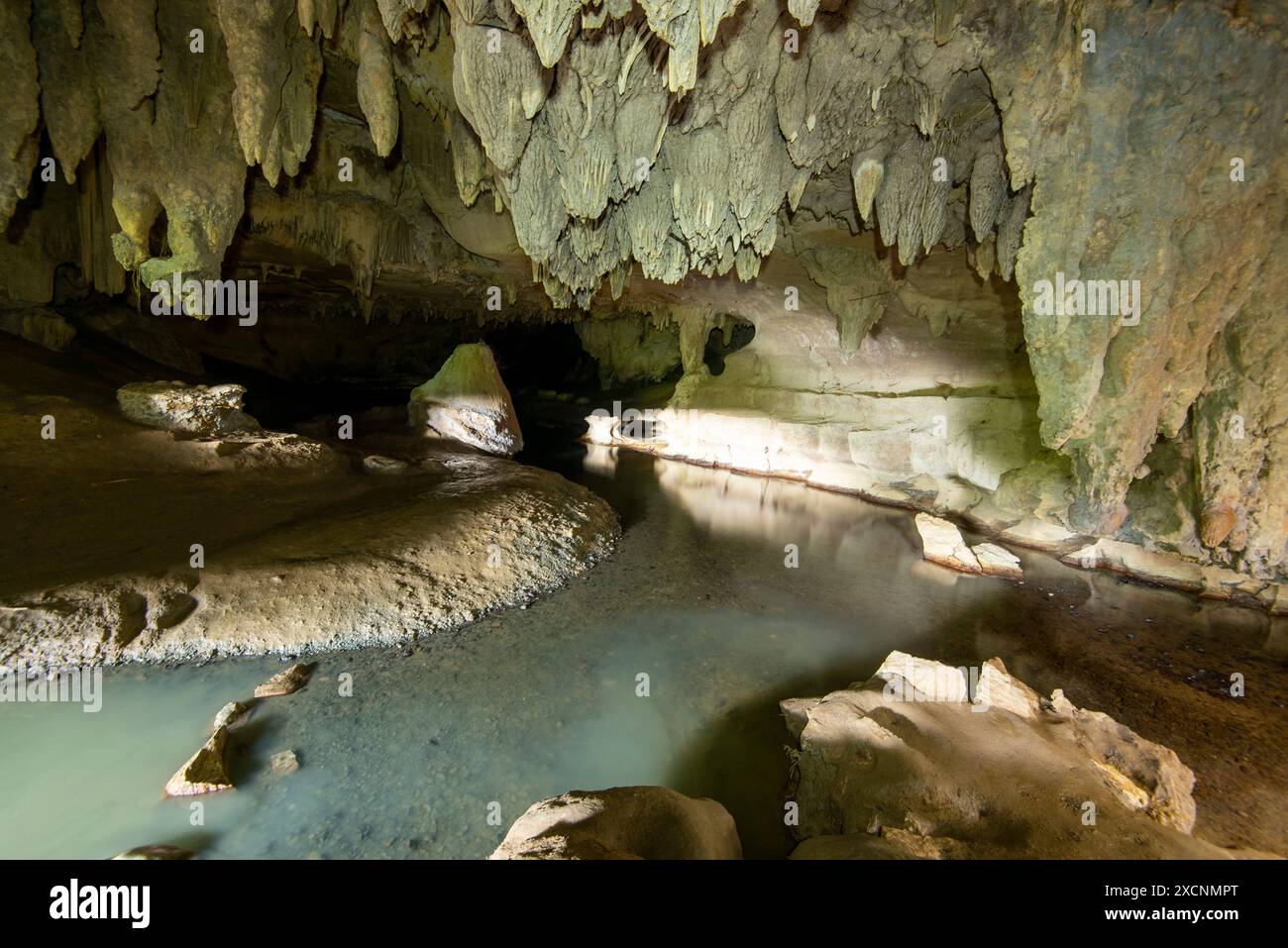 Waipu Cave - nuova Zelanda Foto Stock