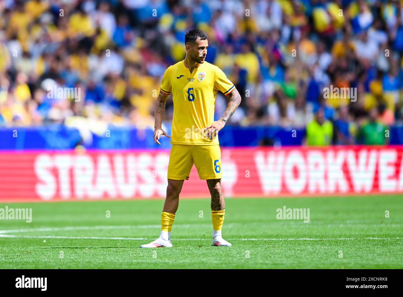 Marius Marin Romania schaut zu, UEFA EURO 2024 - gruppo e, Romania vs Ucraina, Fussball Arena Muenchen AM 17. Giugno 2024 a Monaco, Germania. Foto von Silas Schueller/DeFodi Images Marius Marin Romania guarda sopra, UEFA EURO 2024 - gruppo e, Romania vs Ucraina, Munich Football Arena il 17 giugno 2024 a Monaco di Baviera, Germania. Foto di Silas Schueller/DeFodi Images Defodi-738 738 ROUUKR 20240617 356 *** Marius Marin Romania Looks On, UEFA EURO 2024 gruppo e, Romania vs Ucraina, Munich Football Arena il 17 giugno 2024 a Monaco di Baviera, Germania foto di Silas Schueller DeFodi Images Marius Marin Romania Looks o Foto Stock