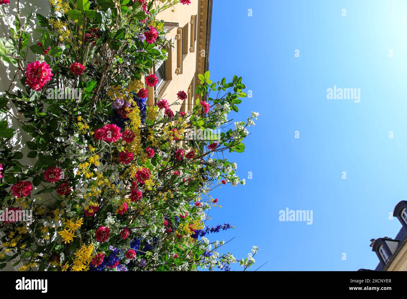 Francia, regione Ile de France, 4° arrondissement di Parigi, le Marais, 19 rue de Turenne, fiori, negozio 'Kahio' Foto Stock