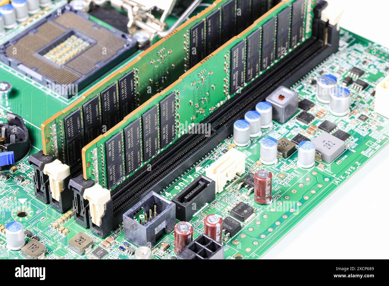 Riparazione di workstation o server di computer, installa l'apparecchiatura - memoria ECC ( RAM ) inserimento bloccato, concetto di riparazione computer Vista ravvicinata, hardware. Foto Stock