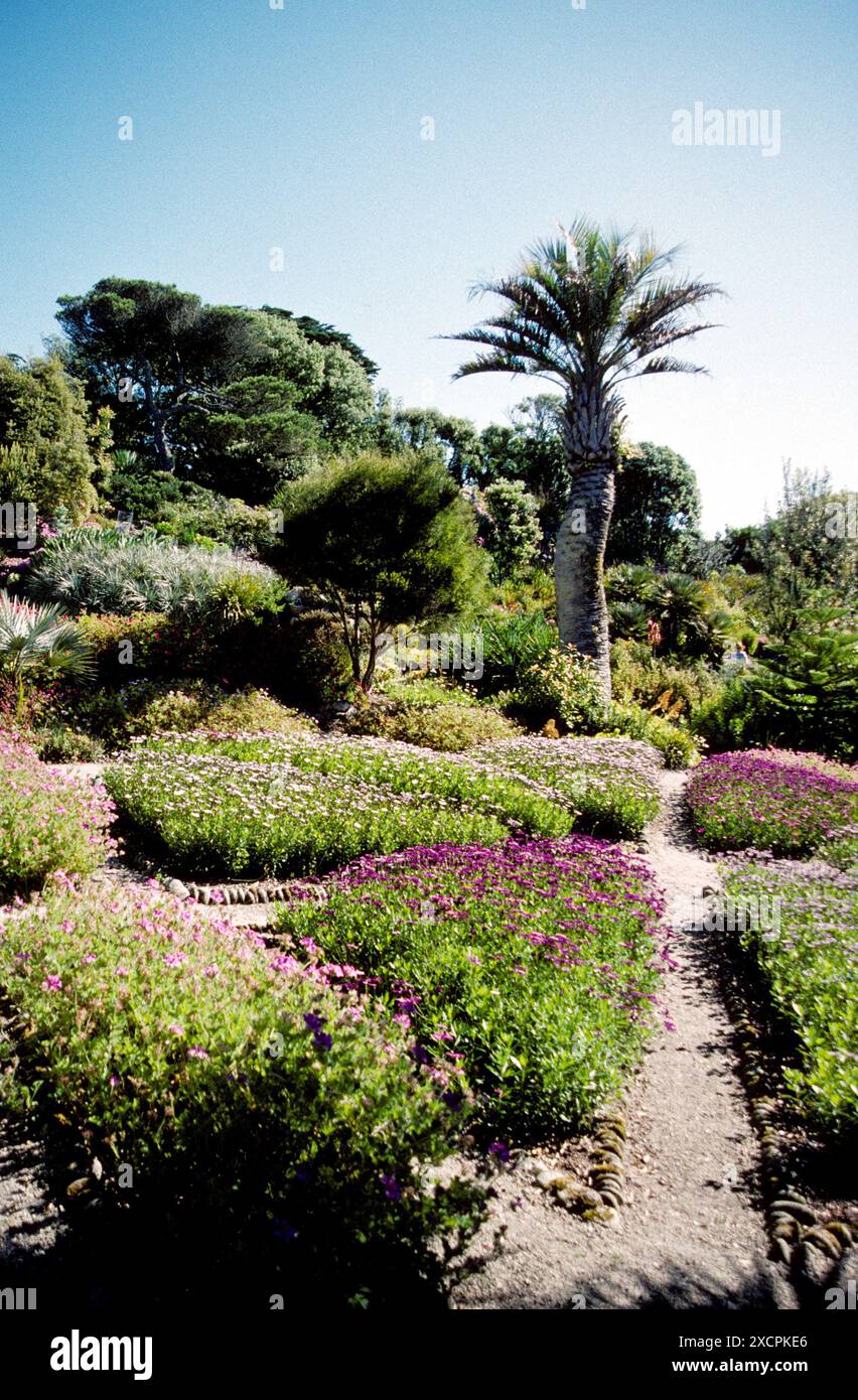 BIBLIOTECA DI VIAGGIO COAST TO COAST - GESTITA DA PPL PHOTO AGENCY - COPYRIGHT RISERVATO Pebble Garden, Tresco Abbey, Isles of Scilly. FOTO DI David Wh Foto Stock