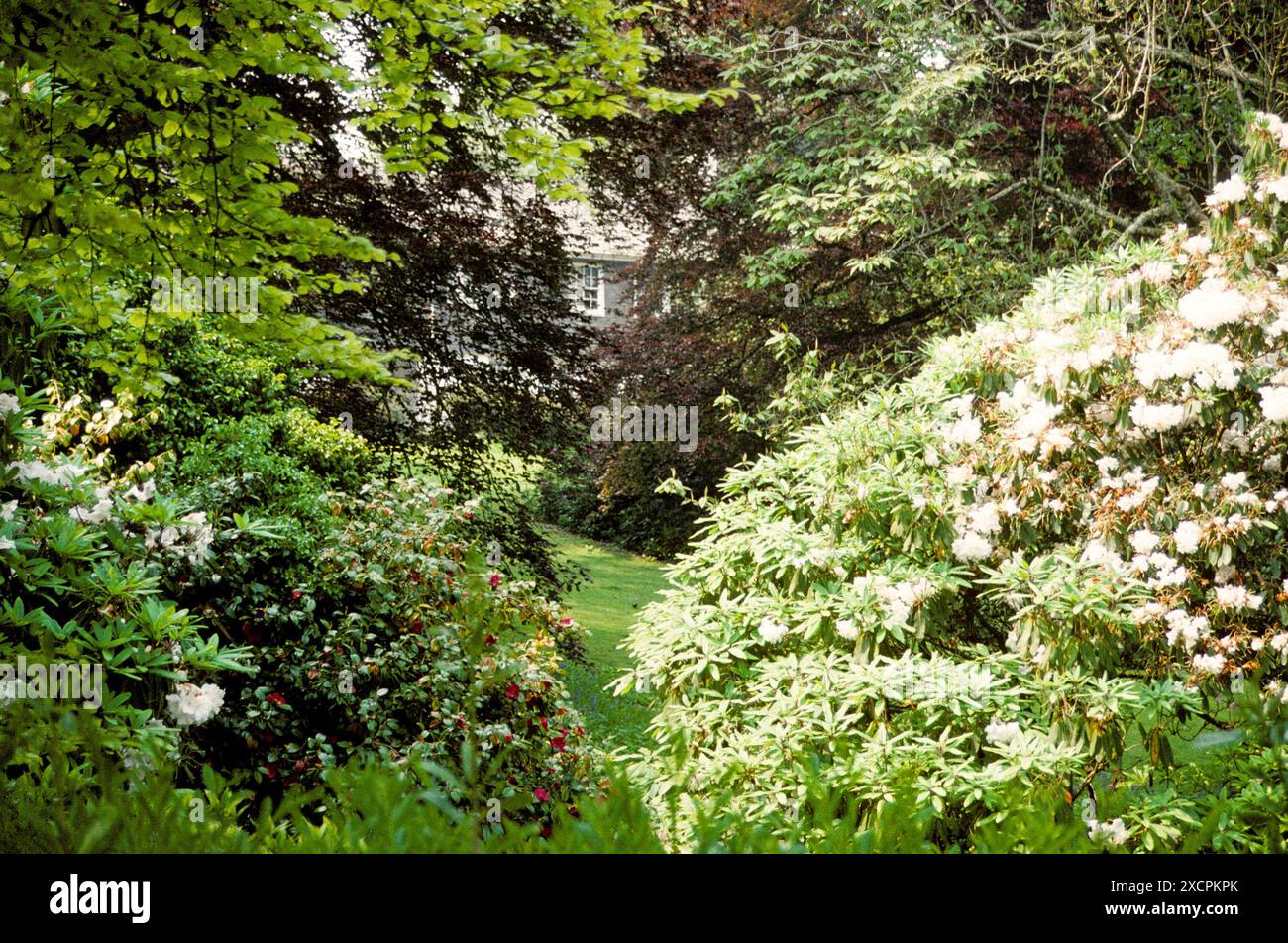 BIBLIOTECA DI VIAGGIO COAST TO COAST - GESTITA DA PPL PHOTO AGENCY - COPYRIGHT RISERVATO PENJERRICK GARDEN, FALMOUTH, CORNOVAGLIA. CREDITO FOTOGRAFICO: David White/PP Foto Stock