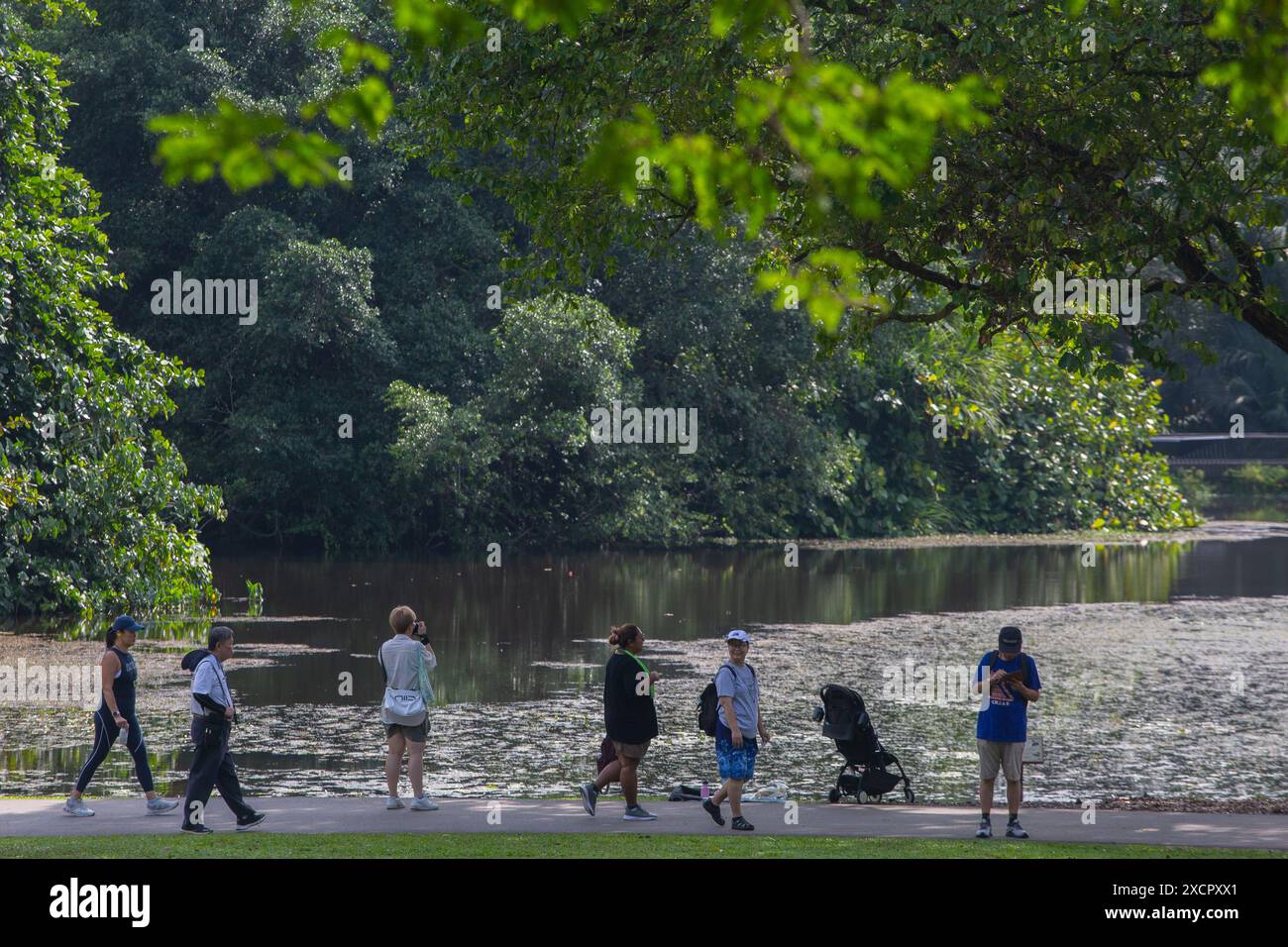 Un gruppo di persone che visitano la zona si divertono in varie attività, come camminare, scattare foto, ammirare il paesaggio del lago. Giardini botanici di Singapore. Foto Stock