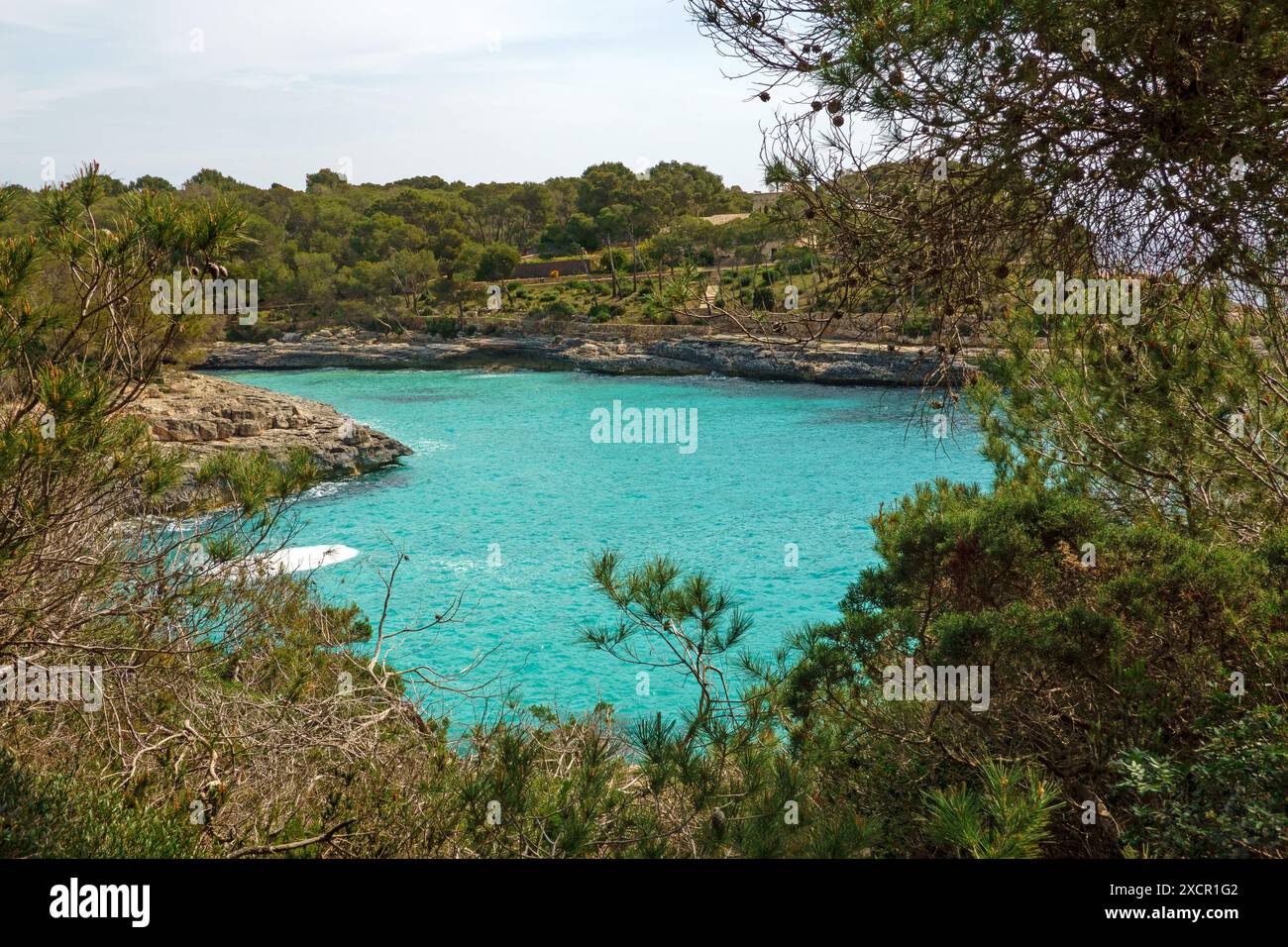 Parco Naturale di Mondrago, Mallorca, Santanyi, Spagna Foto Stock