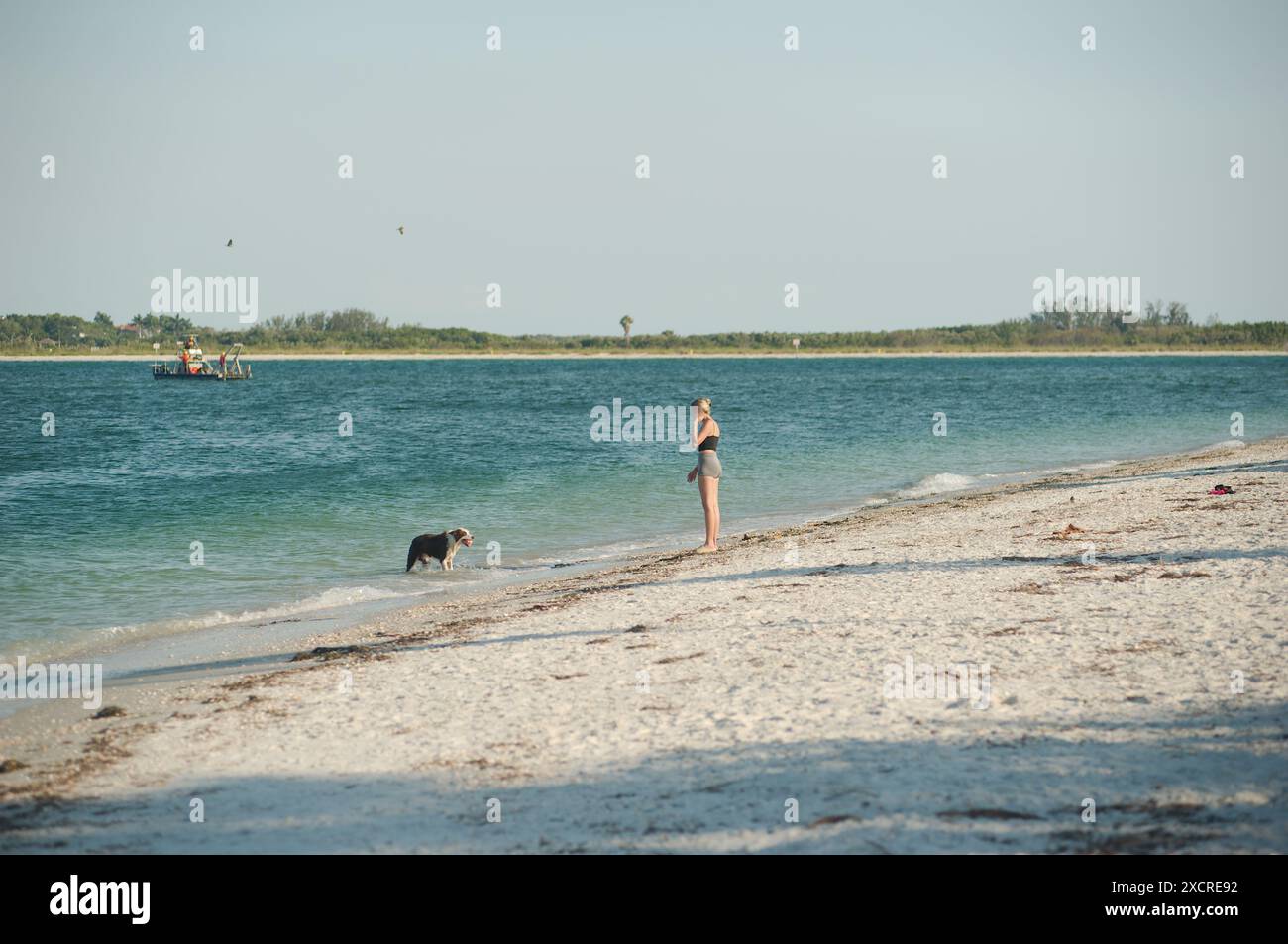 Ampia vista di una giovane donna che cammina sulla spiaggia con un cane sulla destra in cima nera e pantaloncini corti. Guardando verso il canale della griglia Pass-a-Grille. Vicino al tramonto Foto Stock
