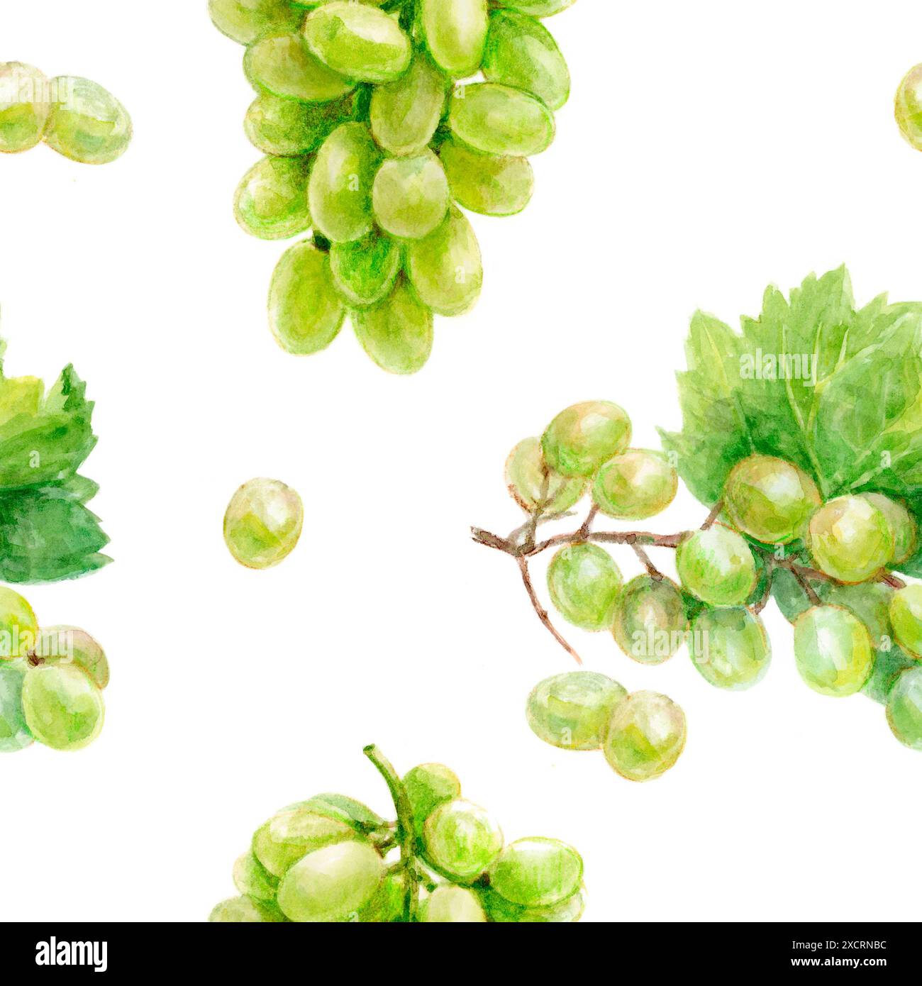 Crea un design vivace con uva verde e foglie in un motivo ad acquerello senza cuciture Foto Stock Crea un design vivace con uva verde e foglie in un motivo ad acquerello senza cuciture Foto Stock