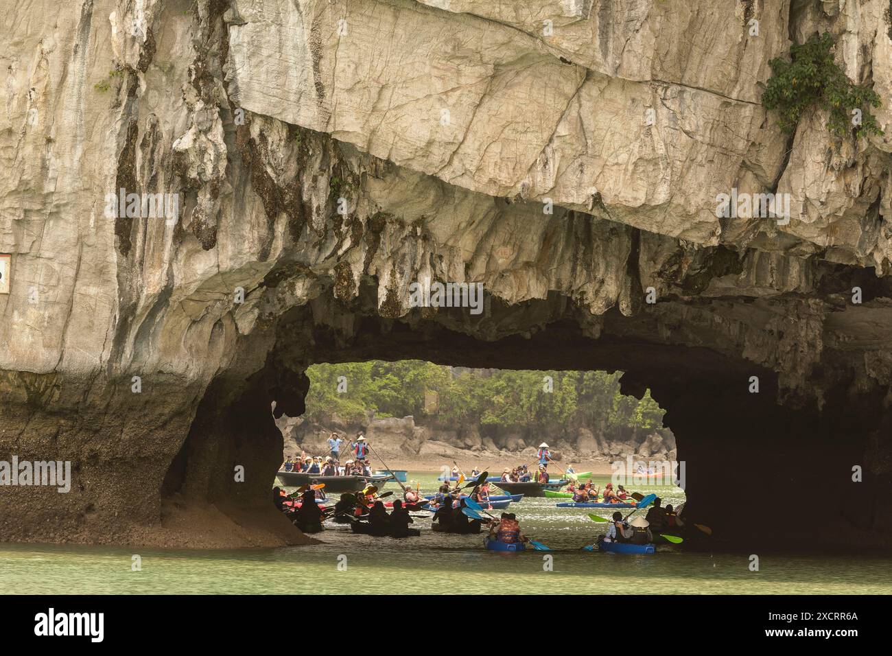 Splendido parco giochi per gite in barca e kayak a Hang Luon Cave, Hạ Long Bay, ha Long Bay, Vịnh Hạ Long, Vietnam del Nord. Affascinante, sorprendente, mozzafiato Foto Stock