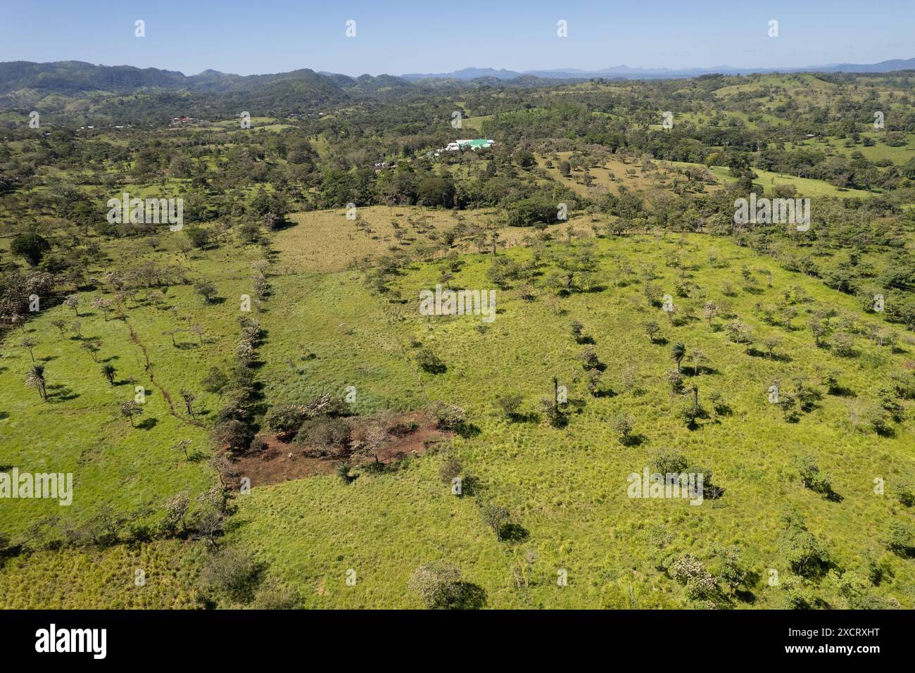 Vista aerea del prato verde della fattoria sul Nicaragua Foto Stock