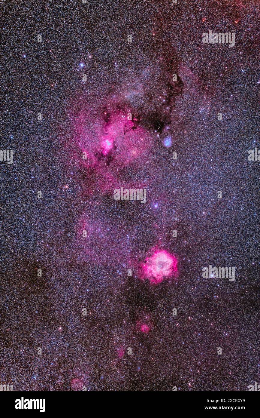 Questa è la regione ricca di nebulose di Monoceros l'unicorno, contenente la luminosa nebulosa Rosette, NGC 2237, sotto il più debole e più grande complesso di nebul Foto Stock