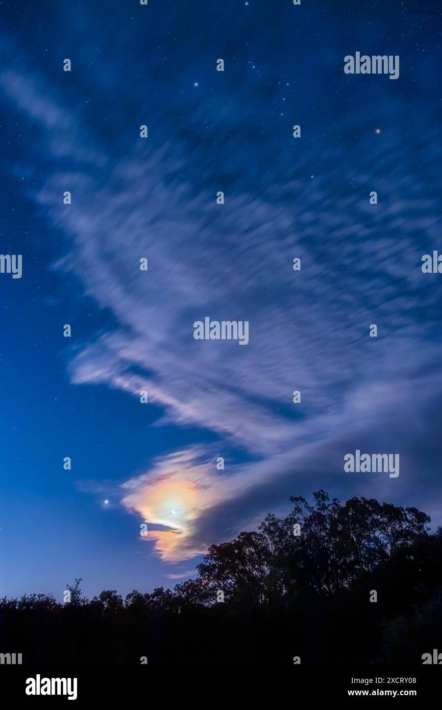 La luna crescente cerata vicino a Giove la sera del 14 marzo 2024, con la coppia sotto Orion, tutte ambientate nel cielo crepuscolo occidentale su una aus Foto Stock