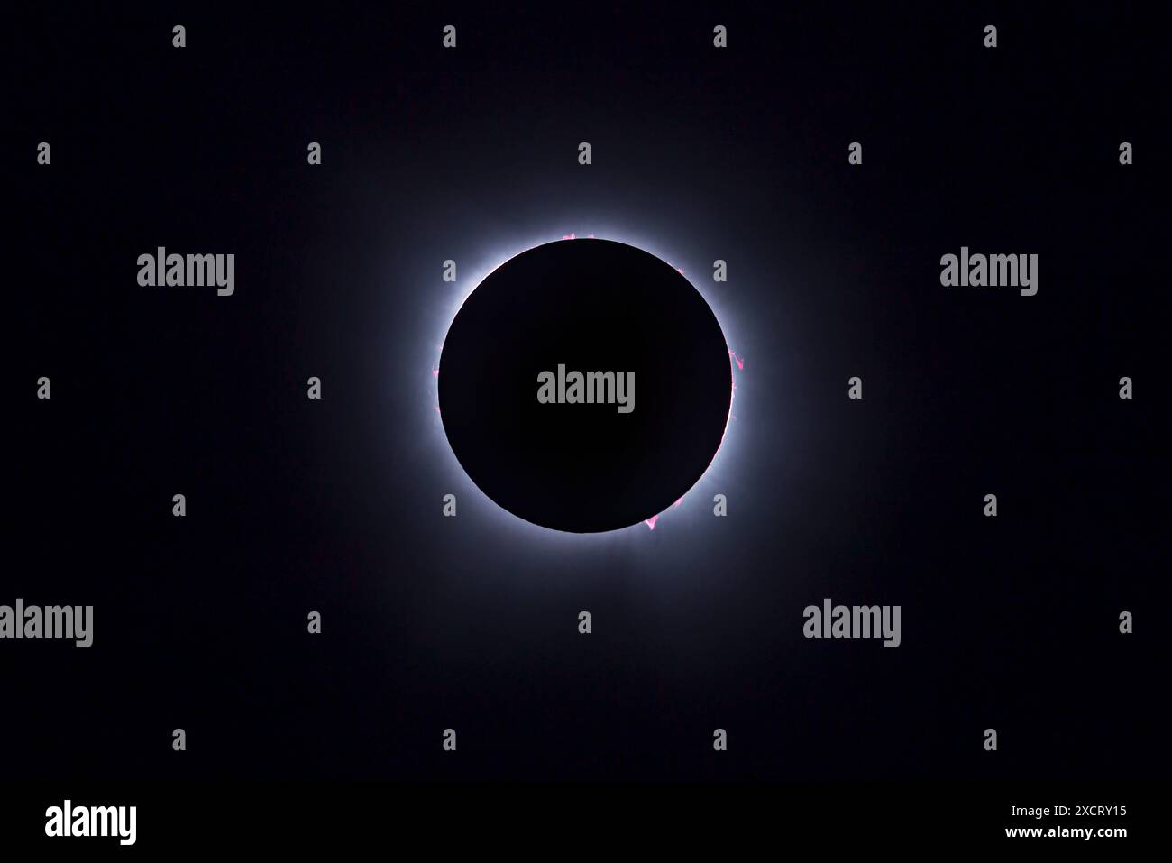 Questa è l'eclissi totale del Sole dell'8 aprile 2024, in una miscela di due esposizioni per mostrare tutte le prominenze rosa ardenti che erano visibili durante Foto Stock