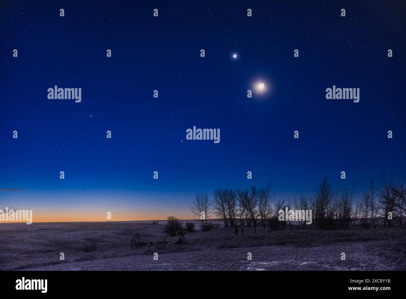 La luna crescente in discesa in un'ampia congiunzione sotto Venere nel cielo dell'alba, su un campo innevato in casa nel sud dell'Alberta. Earthshine illumina il buio Foto Stock
