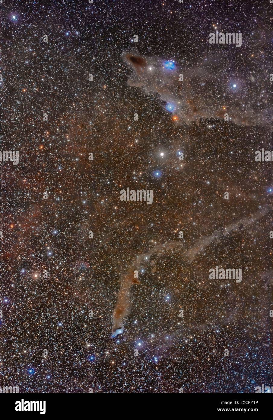 Questo è un ritratto di un campo di nebulose polverose nel nord di Cefeo, ben lontano dalla via Lattea ma ancora ricco di deboli nebulose. In cima c'è un oggetto populista Foto Stock