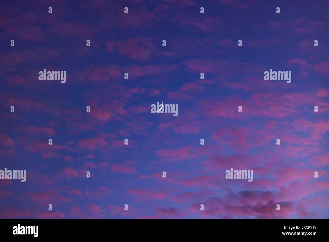 La luna crescente di due giorni in cera tra nuvole rosa al tramonto e in un cielo serale blu crepuscolo, l'8 giugno 2024. Tratto da Writing-on-Stone Provinci Foto Stock