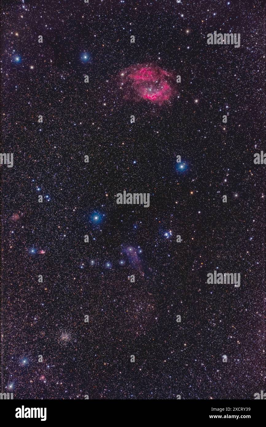 Questo è un ritratto di un campo nel "club" di Orion the Hunter, nel nord di Orion, che contiene la nebulosa di emissione (in alto) catalogata come Sharpless Foto Stock